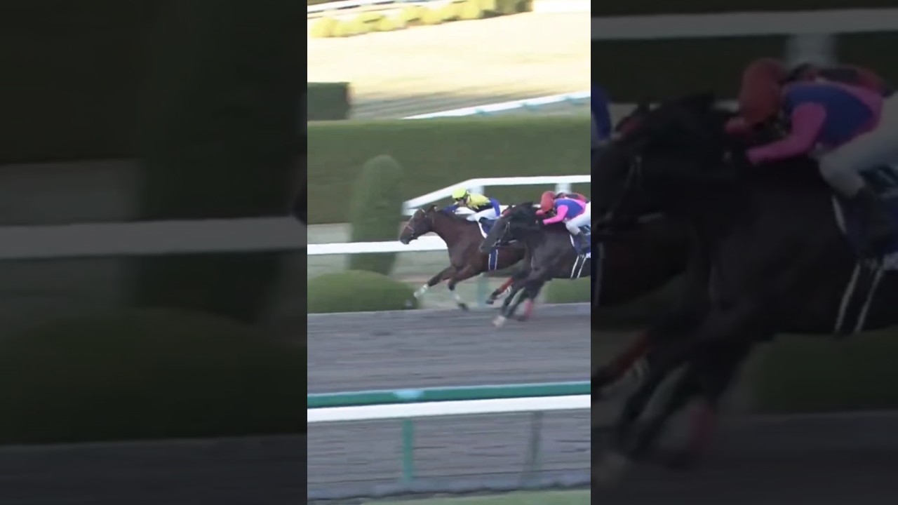 #shorts 2008 チャンピオンズカップ（ジャパンカップダート）#カネヒキリ #ルメール