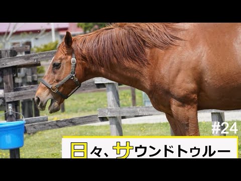 日々、サウンドトゥルー#24