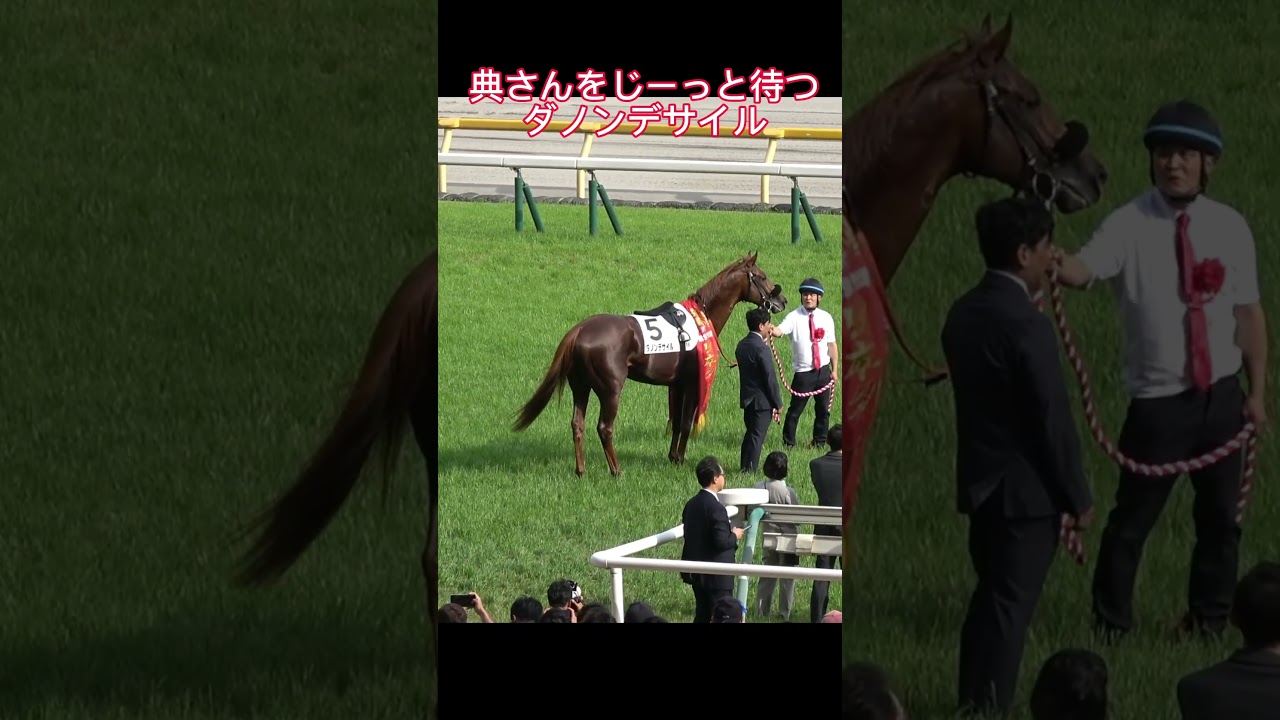 典さんを待つ可愛いダノンデサイル 勝利の嘶きにざわつく場内！ #shorts #日本ダービー #横山典弘