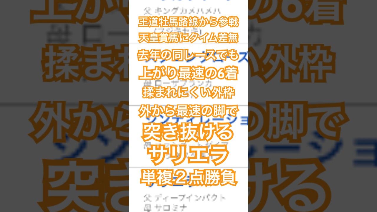 エリザベス女王杯 2024 予想 #競馬予想 #メチャクチャ良く当たると穴党に人気の競馬予想家