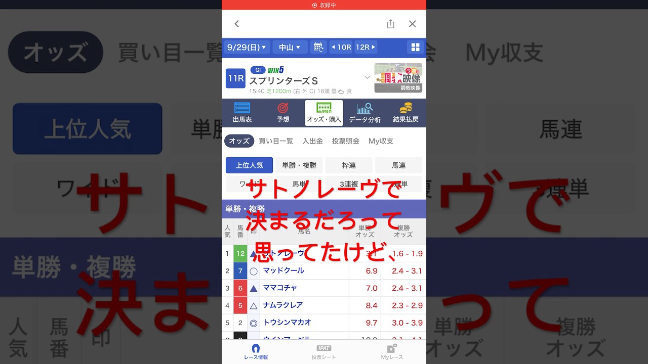 #スプリンターズステークス #競馬 #JRA #予想 #◎トウシンマカオ #○マッドクール #☆モズメイメイ