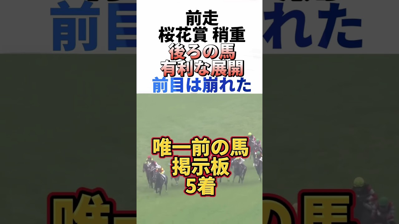 【オークス2025】🎯オッズ妙味抜群‼️エリカエクスプレスが舐められすぎな件🎯#オークス2025 #オークス #エリカエクスプレス