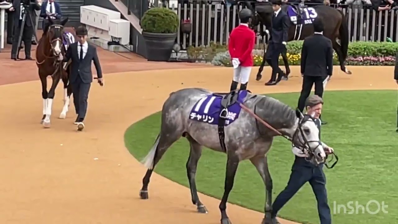 マイルCS 2024 パドック @umaumakai6331