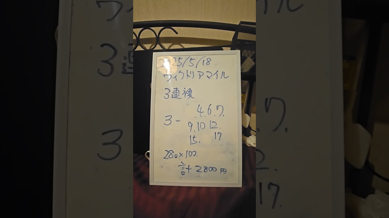 予想するパンダ(2025ヴィクトリアマイル)