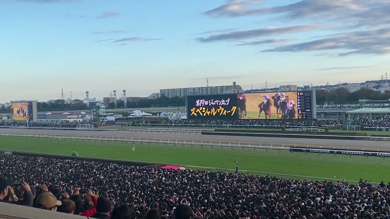 2024ジャパンカップ　煽りVTR