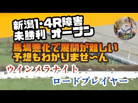 5/18 【競馬障害レース】新潟4·5R障害未勝利 見解