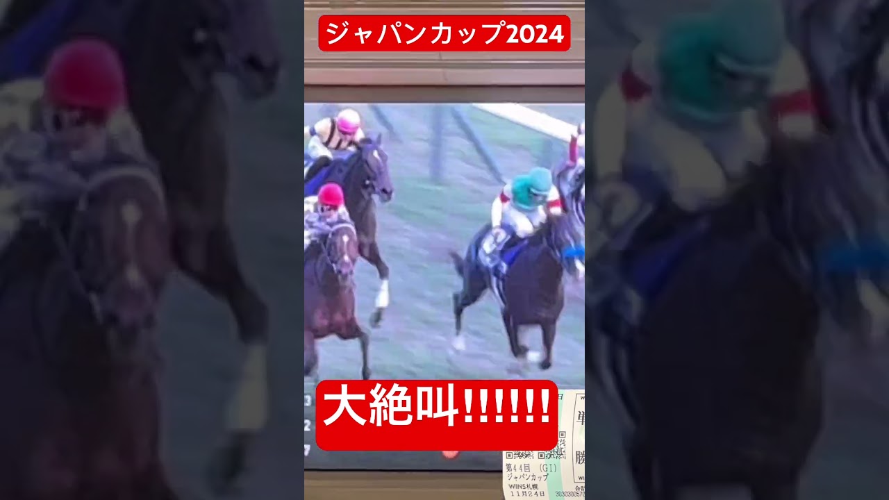 【ジャパンカップ2024】ドウデュース限界オタク、魂の叫び　#競馬
