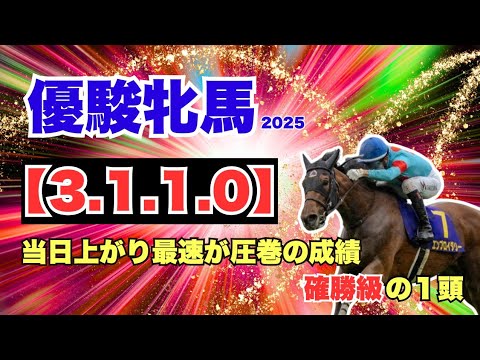 【優駿牝馬 オークス2025】ここだけ押さえておけばマスターできる！！好走馬に見られるポイントを徹底分析！！