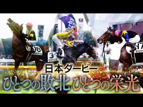 日本ダービー　ひとつの敗北　ひとつの栄光 | JRA公式
