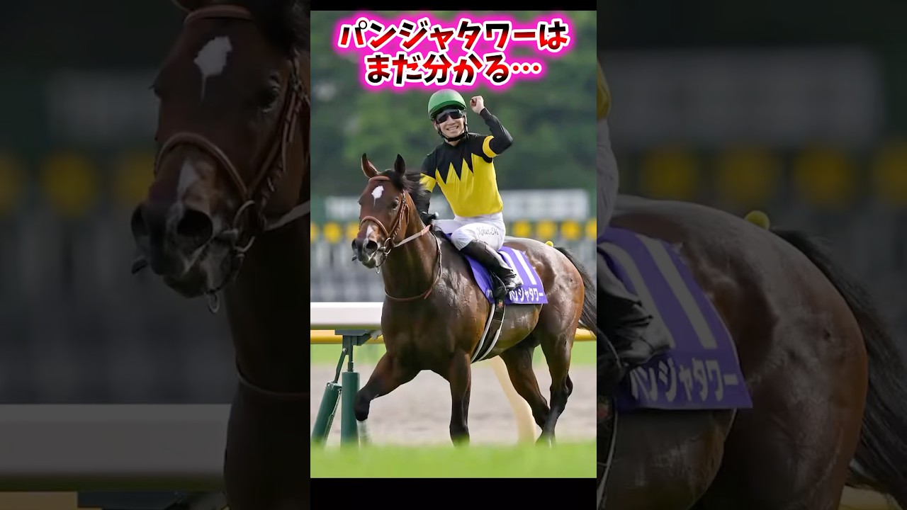 パンジャタワーはまだわかる…【競馬反応集】 #パンジャタワー #nhkマイルカップ