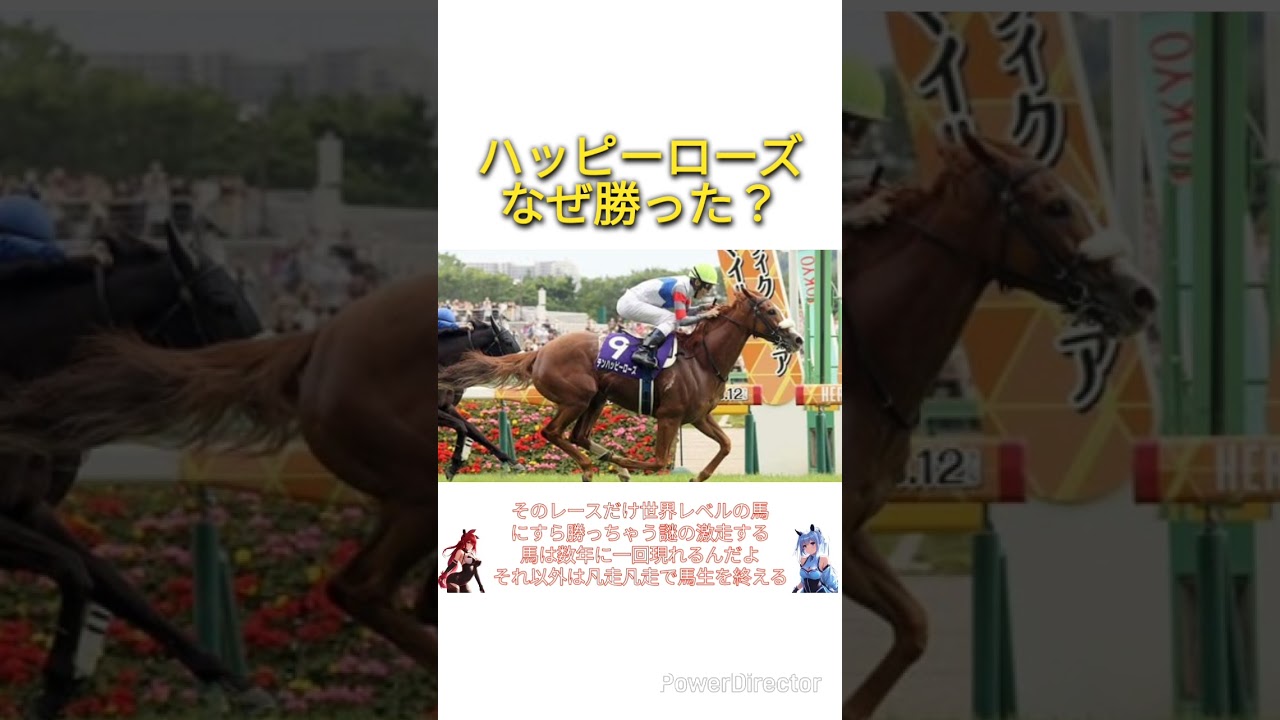 ヴィクトリアマイル2024でテンハッピーローズがなぜ勝った？　#競馬