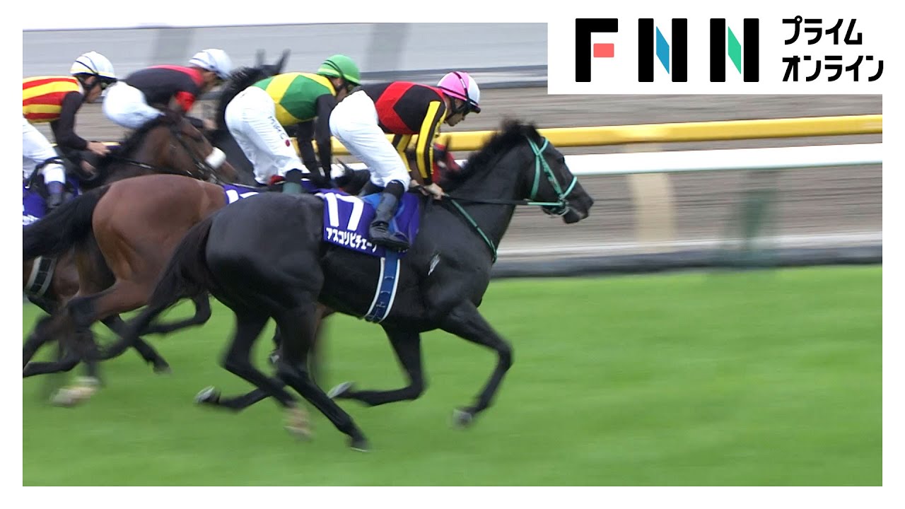 【ヴィクトリアマイル・GⅠ】アスコリピチェーノが大接戦を制する！C.ルメール騎手 同レース単独トップの4勝目