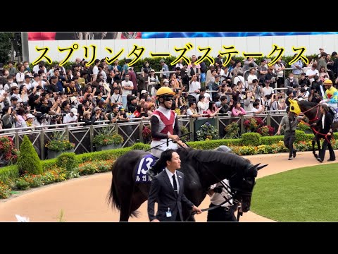 2024.9.29中山競馬場、秋のＧ１✨スプリンターズステークス✨ジョッキー騎乗全員集合🏇✨