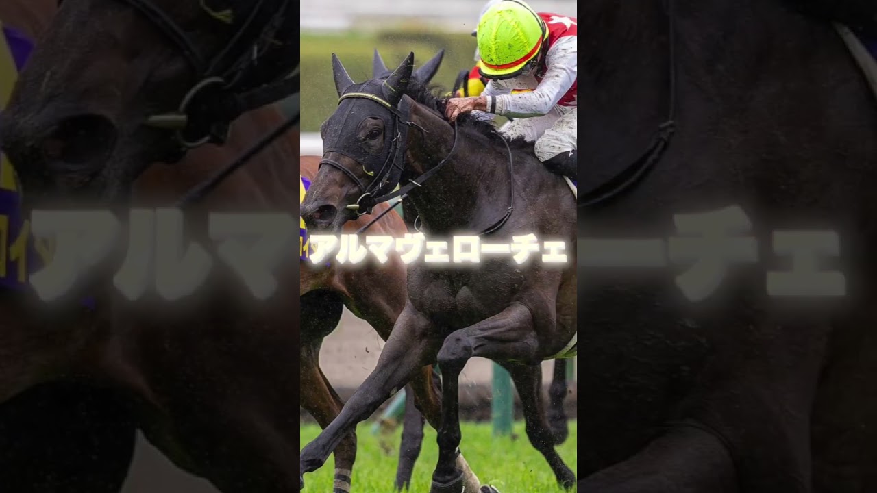 G1オークスの注目馬を3頭紹介＃エンブロイダリー＃アルマヴェローチェ＃リンクスティップ＃優駿牝馬＃オークス