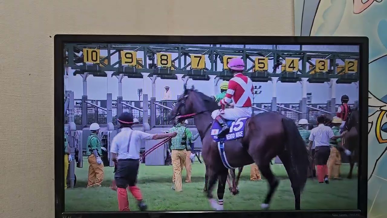 競馬収録放送 第58回スプリンターズステークス(GⅠ)