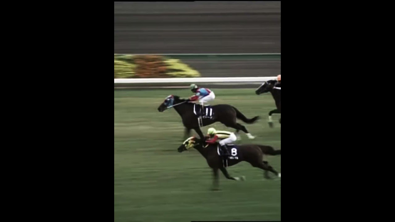 （2003）デュランダルスプリンターズステークス大外デュランダル大外デュランダル！