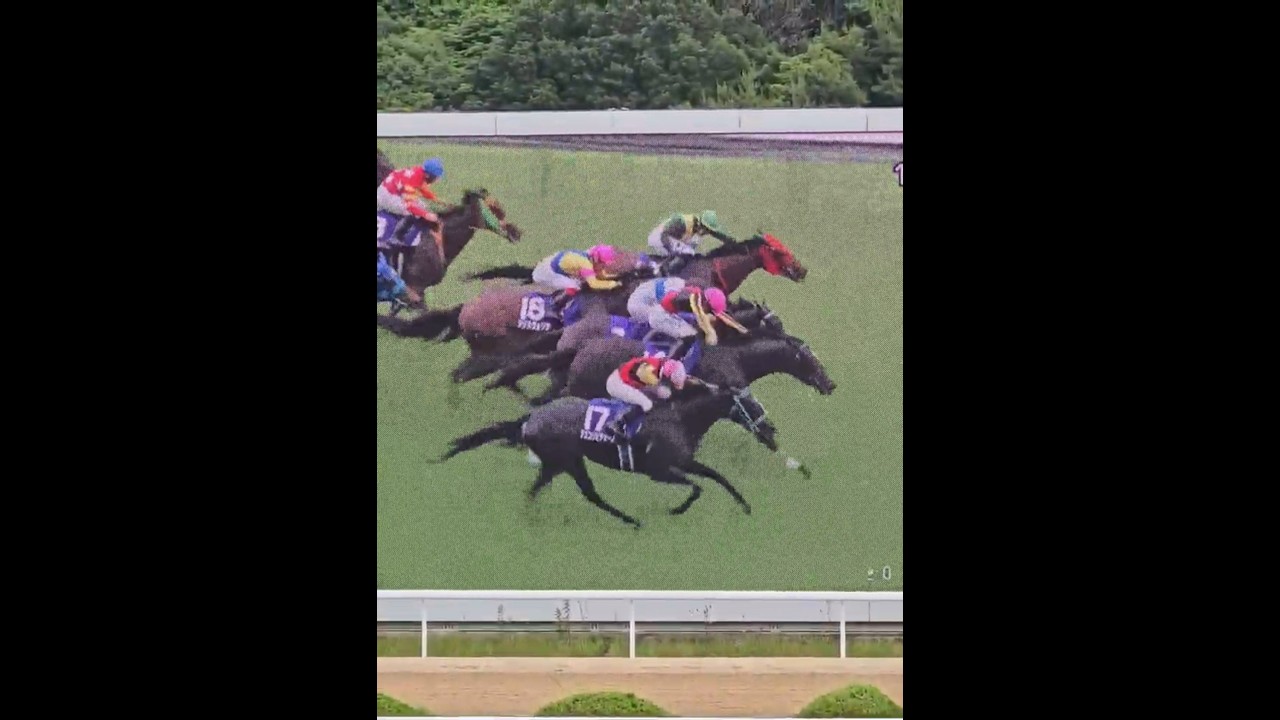 #G1レース#ヴィクトリアマイルレース#ターフビジョン#佐賀競馬場#馬券