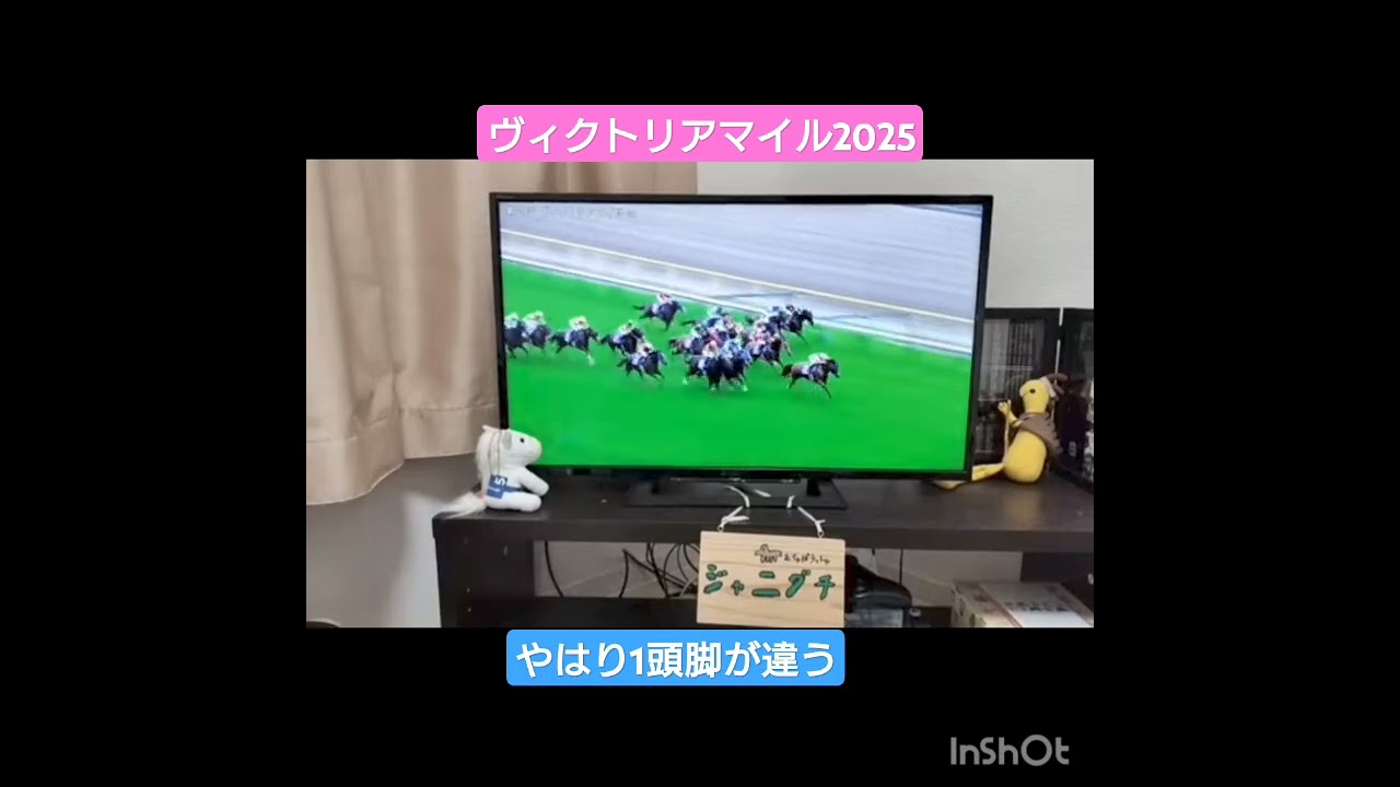 ヴィクトリアマイル2025🐴アスコリピチェーノ×ルメール