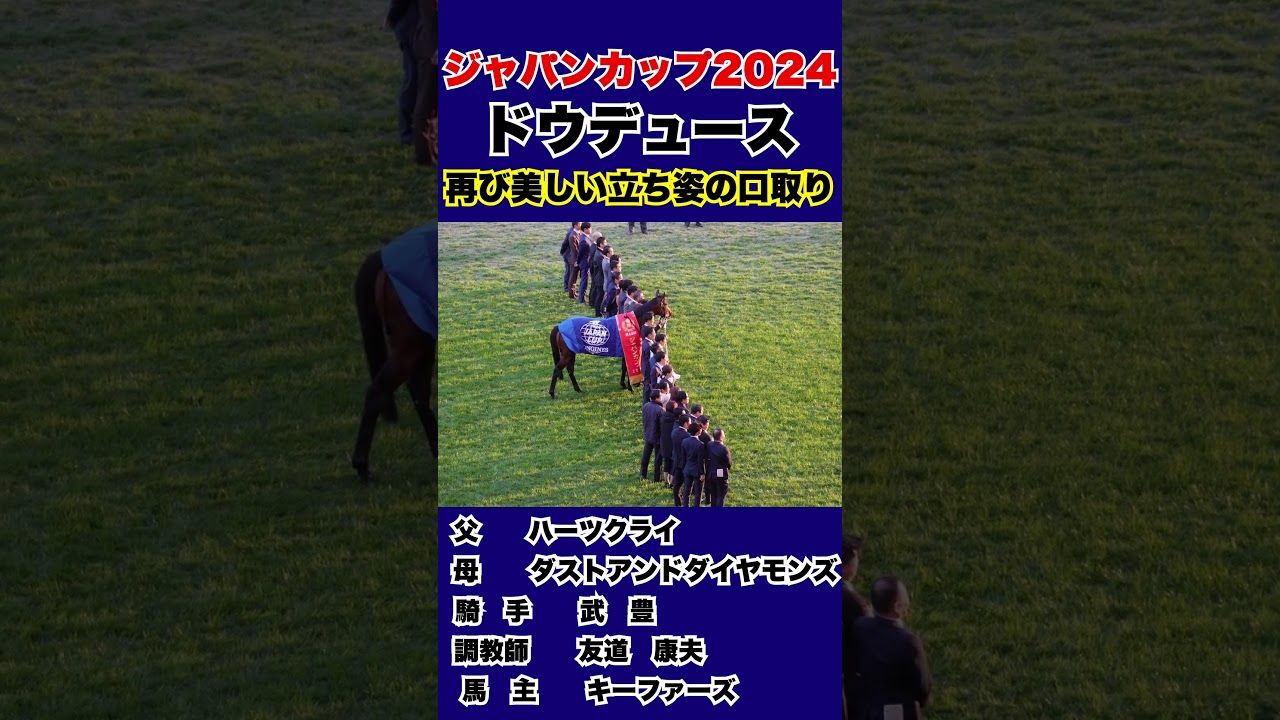 再び‼美しい立ち姿を見せるドウデュースの口取り【ジャパンカップ2024】