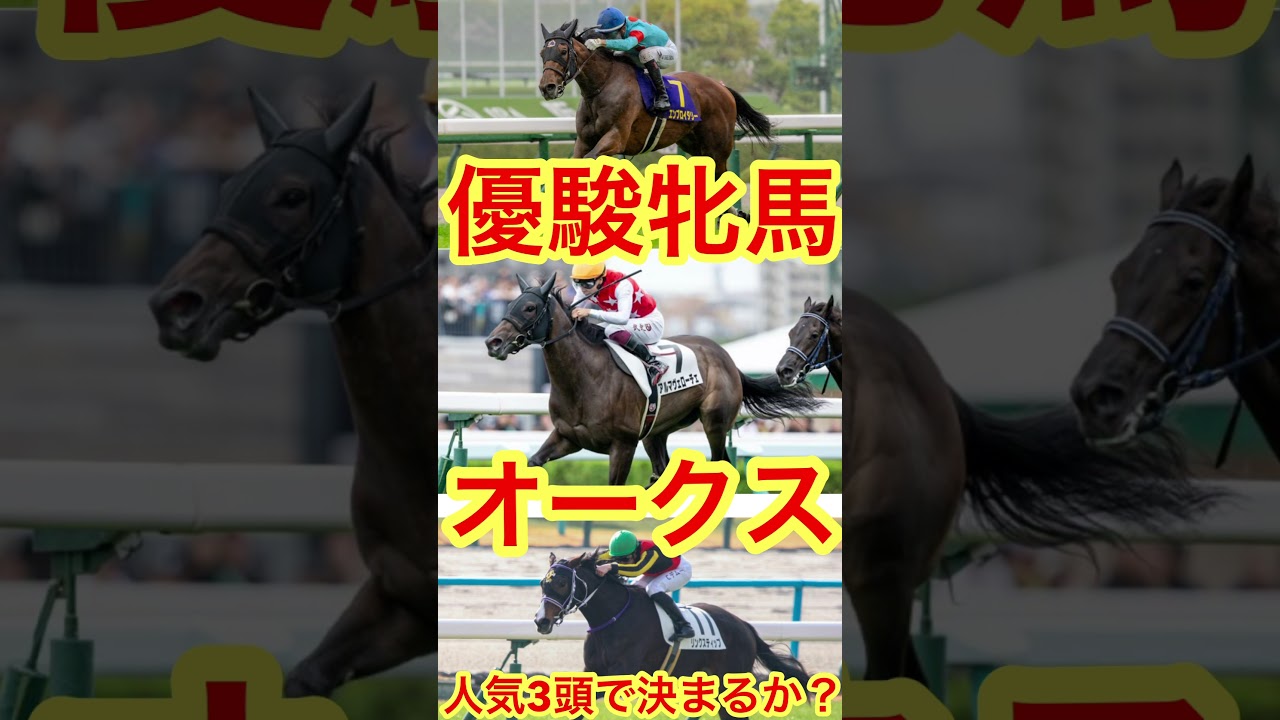 優駿牝馬　オークス　人気3頭で決まるのでしょうか？実は大穴をあける馬が見つかりました。