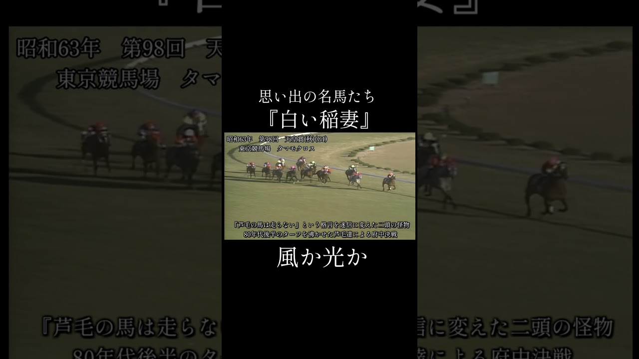 タマモクロス　天皇賞(秋)　 #競馬 #思い出の名馬たち #南井克己 #オグリキャップ #shorts
