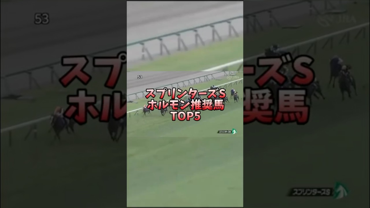 【競馬予想】スプリンターズS 2024ホルモン推奨馬 #競馬 #スプリンターズステークス #秋競馬 #サトノレーヴ #ママコチャ #トウシンマカオ #オダコチャ #クレアの衝撃  #クレアおばさん