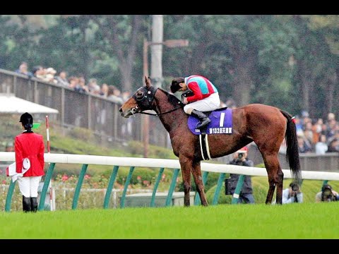 2005　天皇賞秋 GⅠ　ヘヴンリーロマンス　松永　幹夫