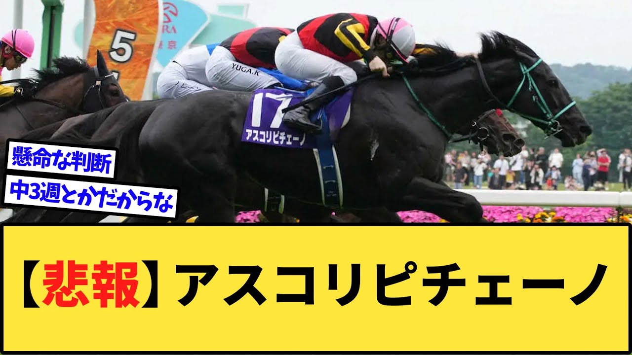 【悲報】アスコリピチェーノ、まさかの安田記念回避…