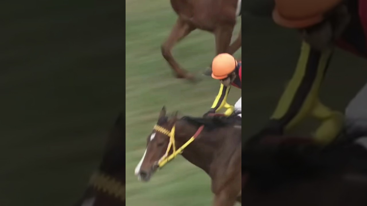 #shorts 2011 阪神ジュベナイルフィリーズ #福永祐一 #ジョワドヴィーヴル