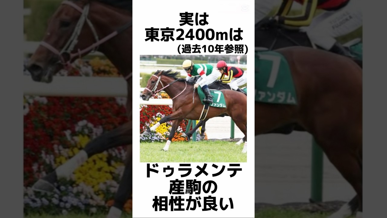 【日本ダービー2025】当たるデータ雑学🎯ここから紐解けば難解な日本ダービーも簡単に‼️#日本ダービー #日本ダービー2025 #マスカレードボール