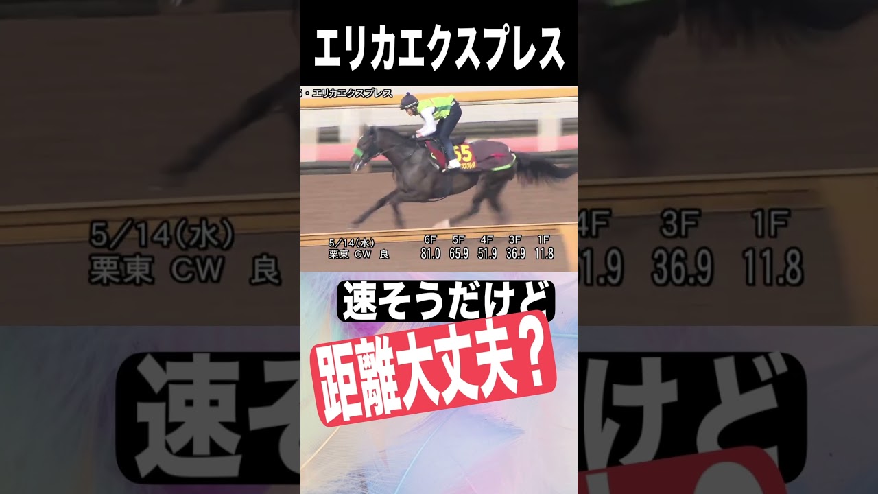 優駿牝馬（オークス）　元厩務員　#オークス