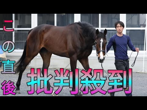【オークス】桜花賞３着リンクスティップ、スタミナ抜群　新田助手「長くいい脚を使える」 Sk king