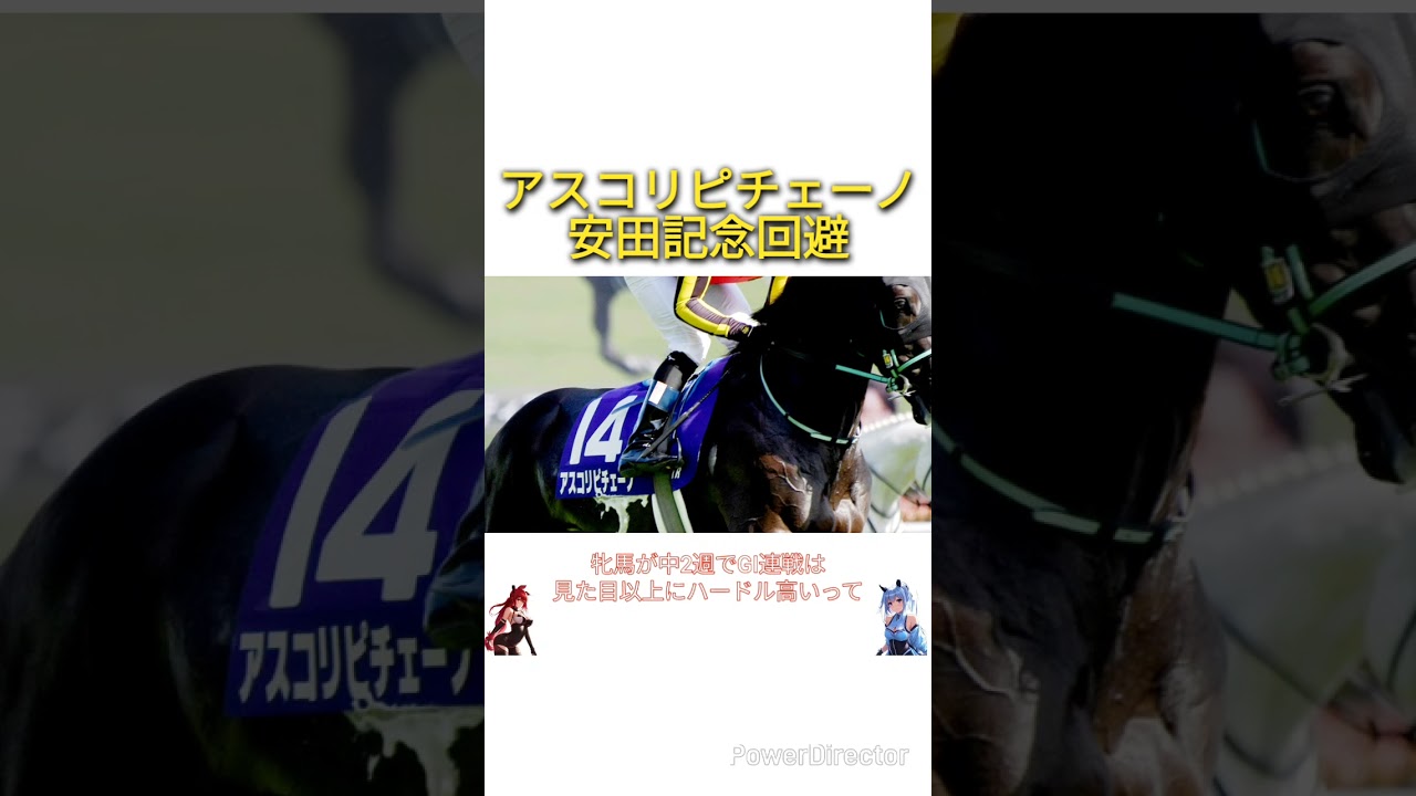 アスコリピチェーノが安田記念やっぱり回避　#競馬