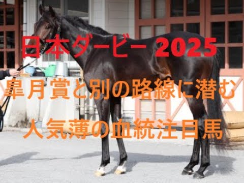 日本ダービー 2025 皐月賞と別路線に潜む人気薄の血統注目馬