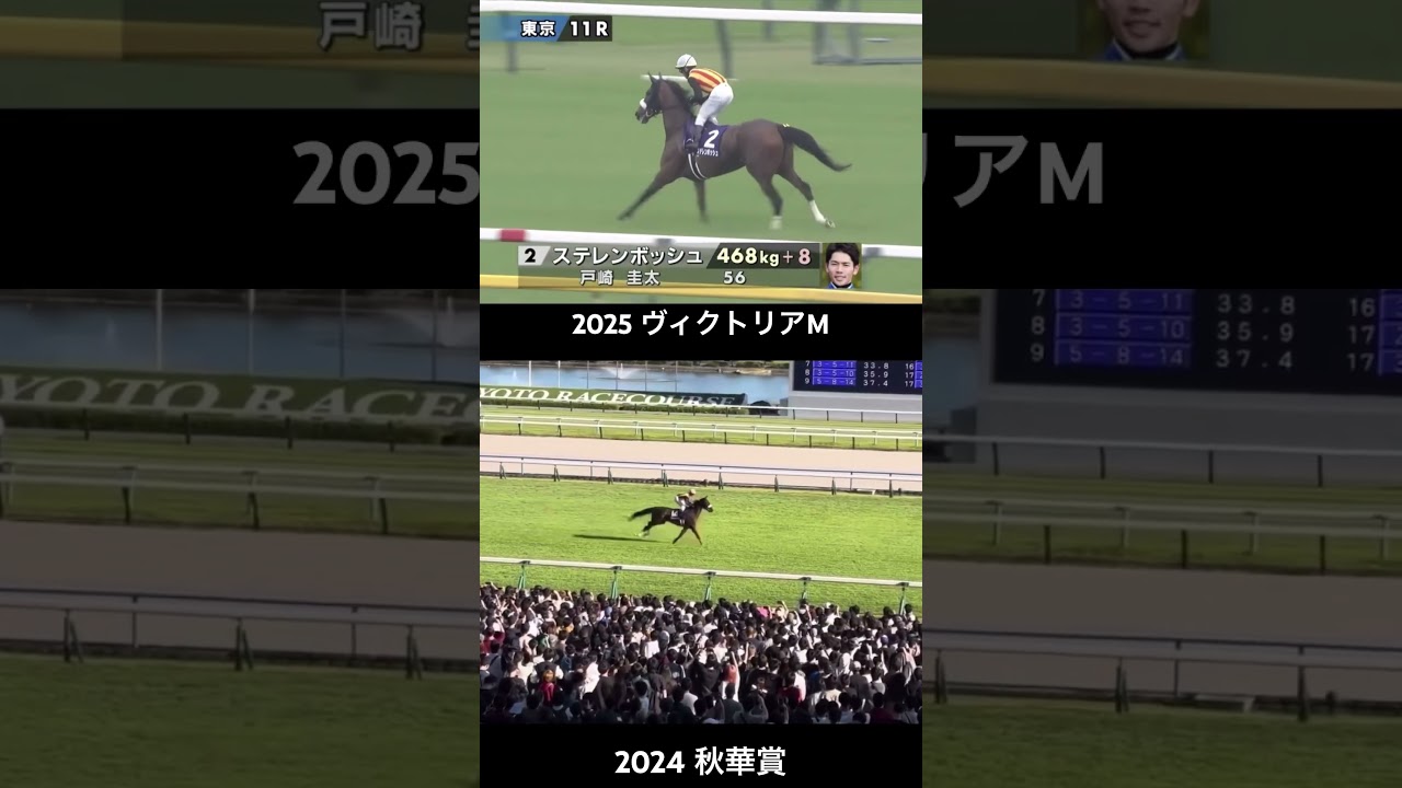 ヴィクトリアマイル 2025 ステレンボッシュ 返し馬 秋華賞比較 #ヴィクトリアマイル #本馬場入場 #ステレンボッシュ
