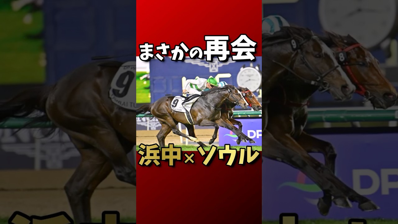 【競馬】まさかの再会　浜中×ソウル　#競馬 #安田記念 #ソウルラッシュ #浜中俊 #G1 #ドバイターフ #追い切り情報 #再会コンビ #競馬予想 #競馬ニュース #注目馬 #復活劇