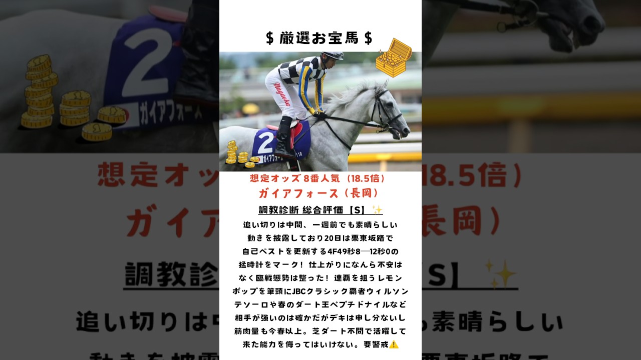 【チャンピオンズカップ2024】連覇か⁈春のダート王か?それとも新たなスターホースの誕生か⁈ #チャンピオンズカップ #g1予想 #競馬予想 #推奨馬 #チャンピオンズc