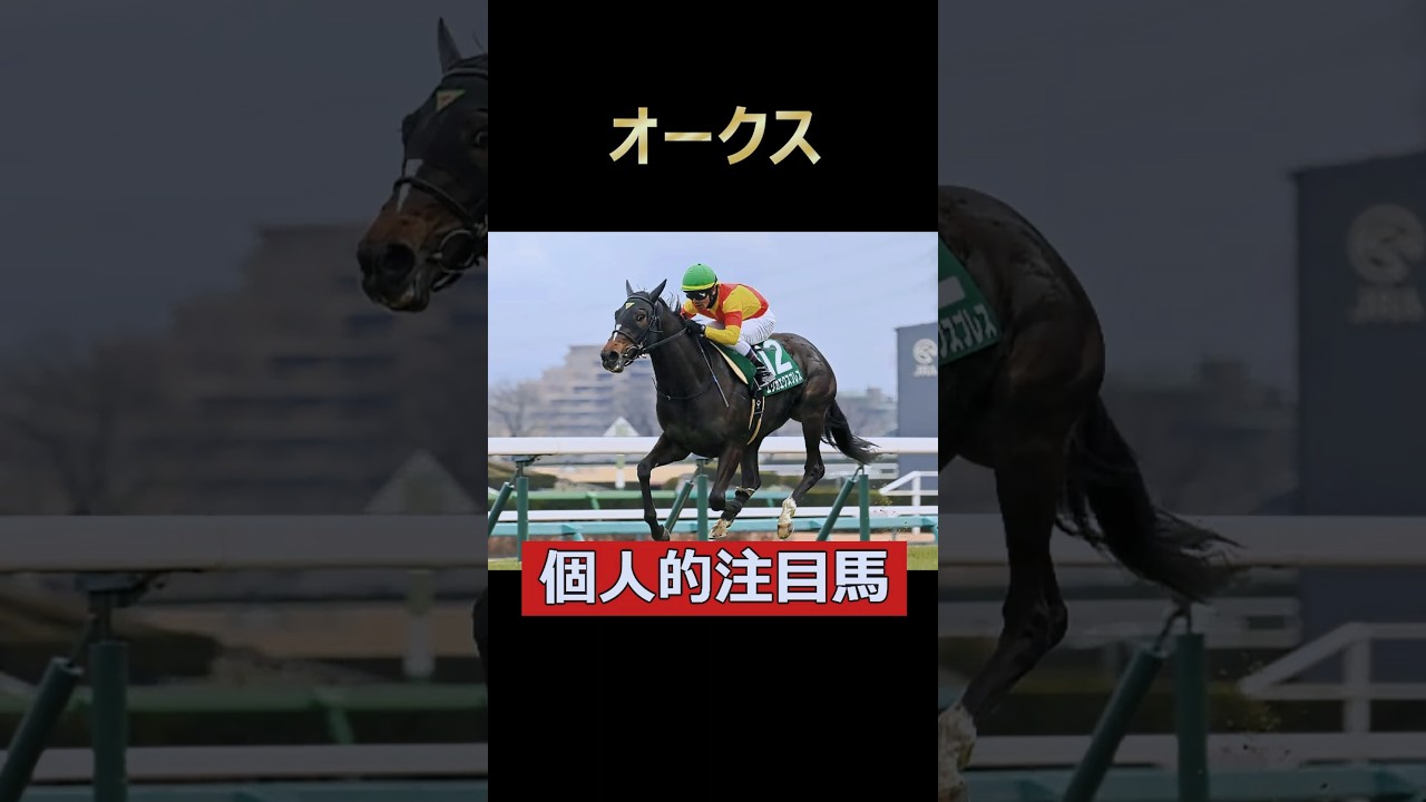 桜花賞1番人気がオークスの舞台で巻き返す！エリカエクスプレス！オークス個人的注目馬！#オークス #エリカエクスプレス