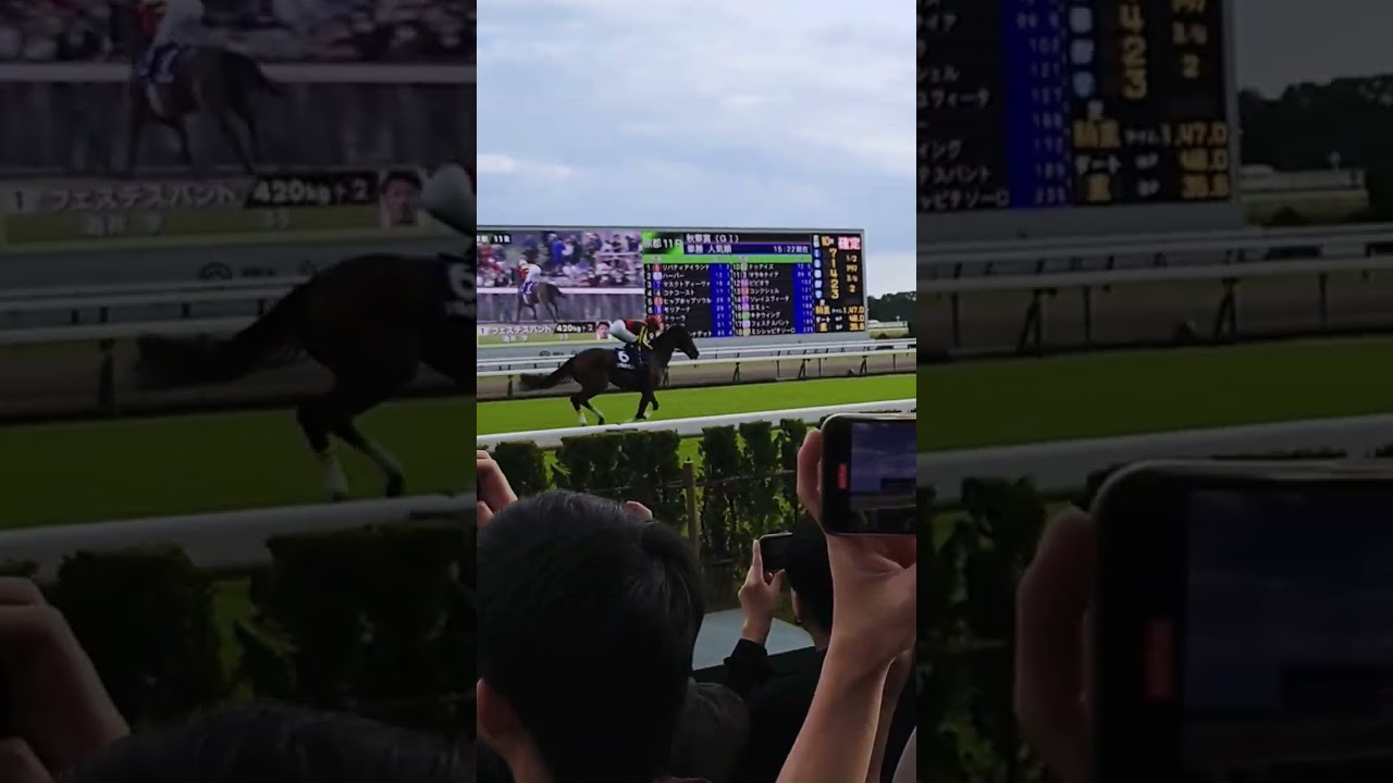 リバティアイランド返し馬 秋華賞 2023/10/15 #リバティアイランド #川田将雅 #秋華賞