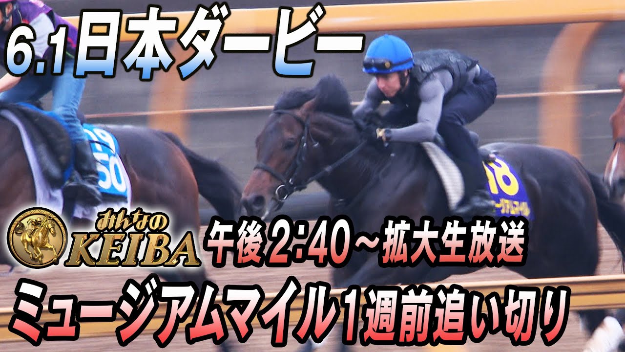 【2025 日本ダービー】皐月賞馬ミュージアムマイル 2冠へ！1週前追い切り