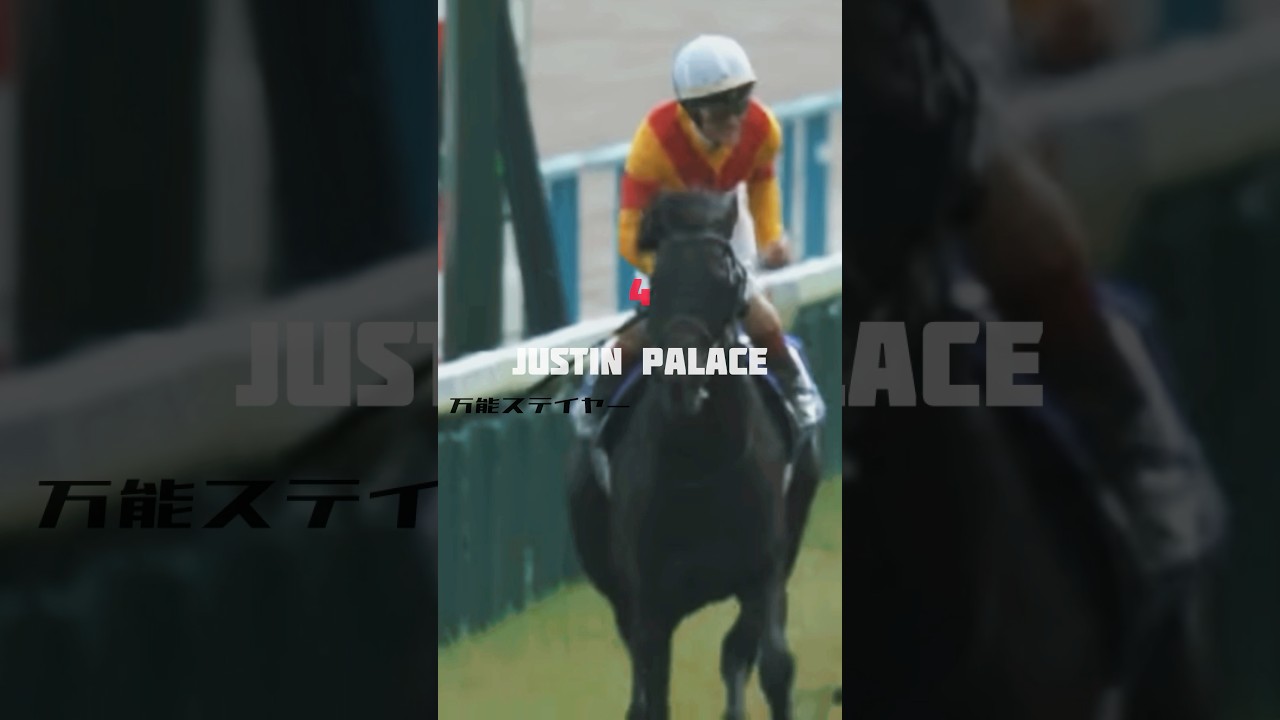 【競馬MAD】ジャパンカップ2024／第ゼロ感 #競馬 #ジャパンc
