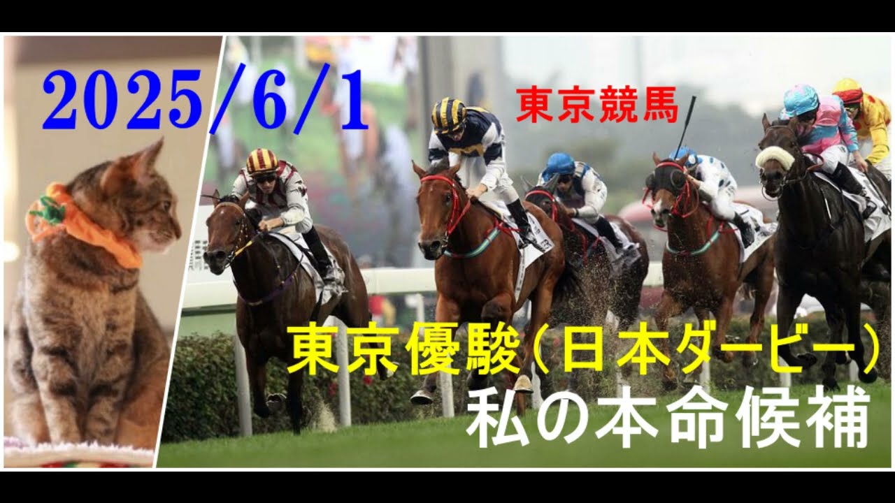 2025/6/1　東京競馬　日本ダービー（ＧⅠ）私の本命候補