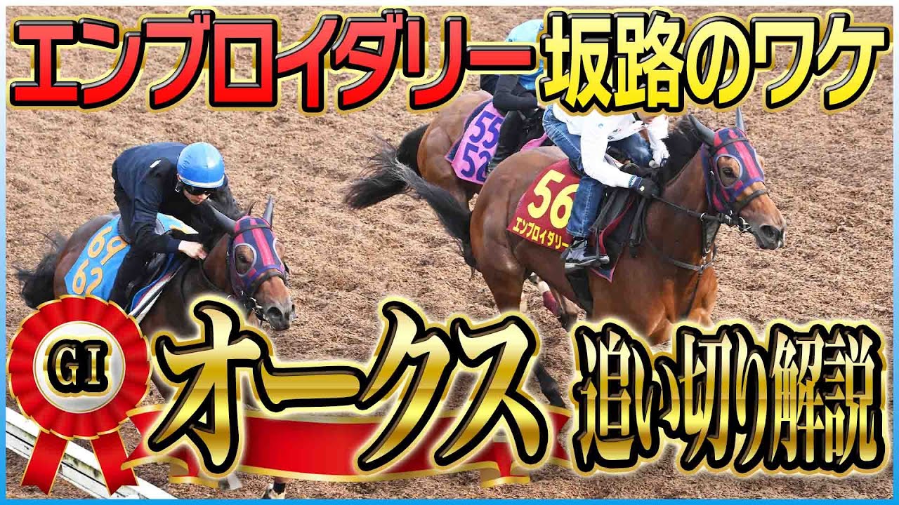 【オークス2025】各出走馬の追い切りを東西記者が徹底解説！