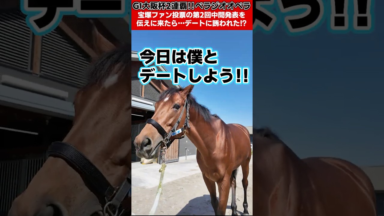 大阪杯2連覇「ベラジオオペラ」に宝塚記念ファン投票第2回中間発表の結果を伝えに来たら…デートに誘われた!?【ベラジオch】#ベラジオオペラ #宝塚記念 #宝塚記念ファン投票