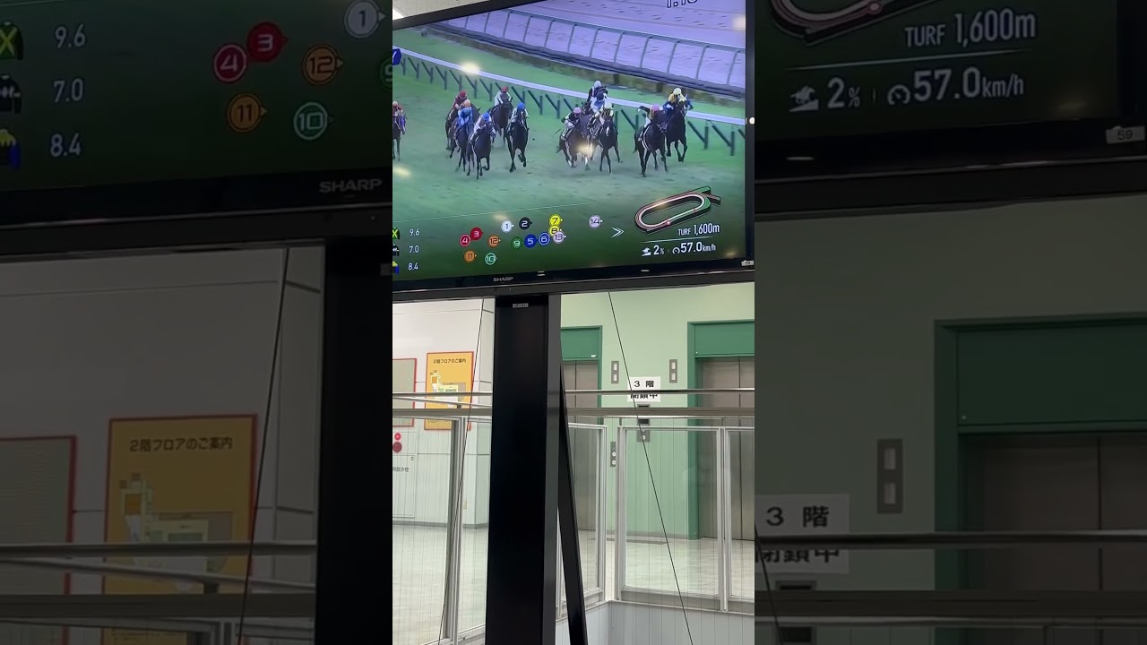 2024スプリンターズs前のレース#競馬 #エエヤン　#お前のこと誰が好きなん #1600m #なんで　#勝てない #スプリンターズs #も　#もちろん　#ボロ負け #ウマ娘