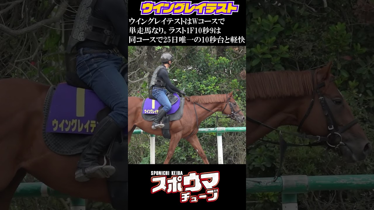 【スプリンターズS】ウイングレイテストのポイント #shorts