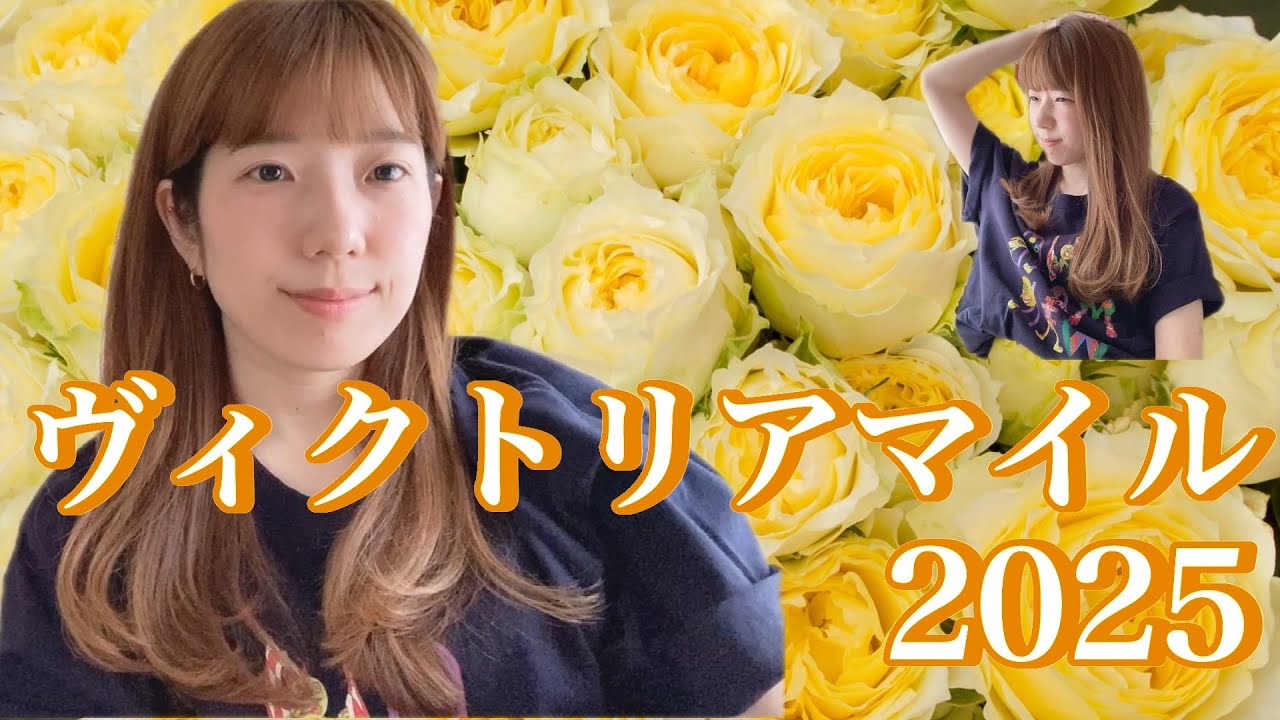 ヴィクトリアマイル2025！の一週間