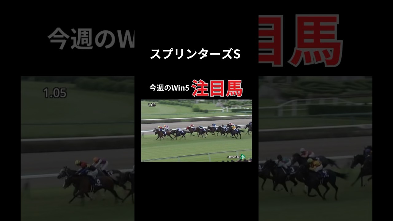 スプリンターズステークス＆今週のWin5注目馬#競馬 #競馬初心者 #win5予想 #win5 #スプリンターズステークス