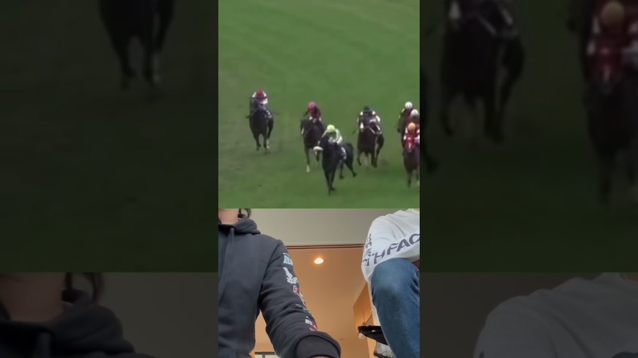 2024マイルチャンピオンシップ　青髭のS襲来！！　本編は↑関連動画から　#music #競馬　#競馬予想  #short  #g1  #馬券  #youtube #shorts  #パパ