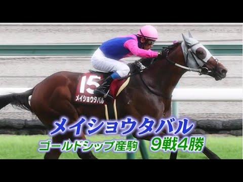 武豊TV！II #161 「ドバイワールドカップデー・高松宮記念・大阪杯プレイバック」 2025🅵🆄🅻🅻🆂🅷🅾🆆【𝐇𝐃】